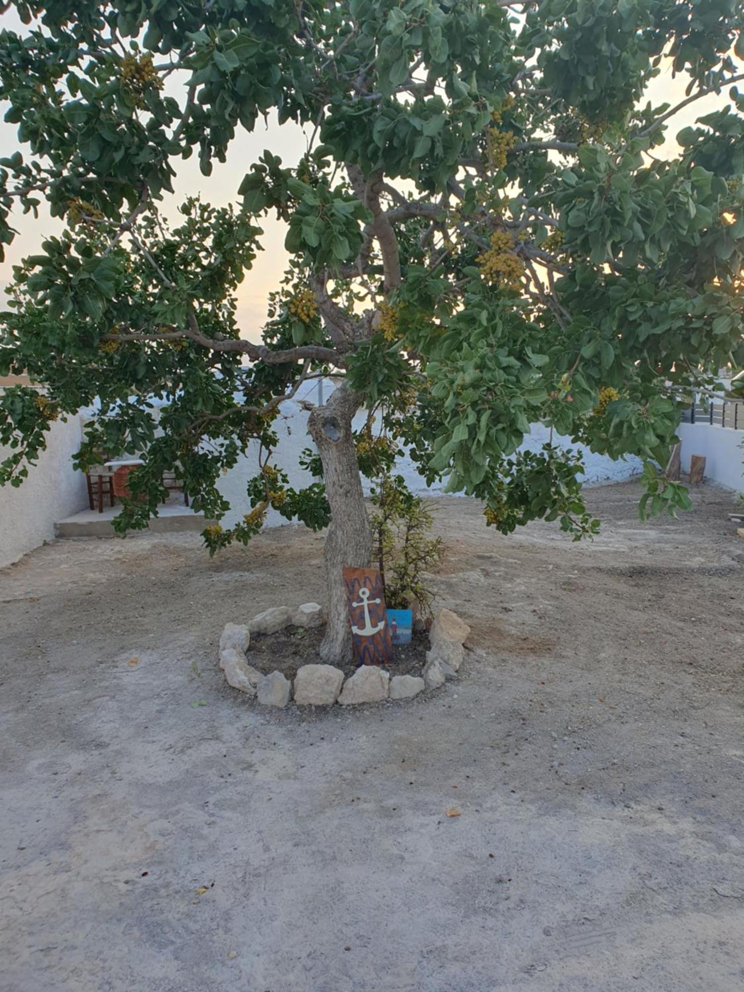 Da Vinci Kavouropetra Villa Aegina Eksteriør billede