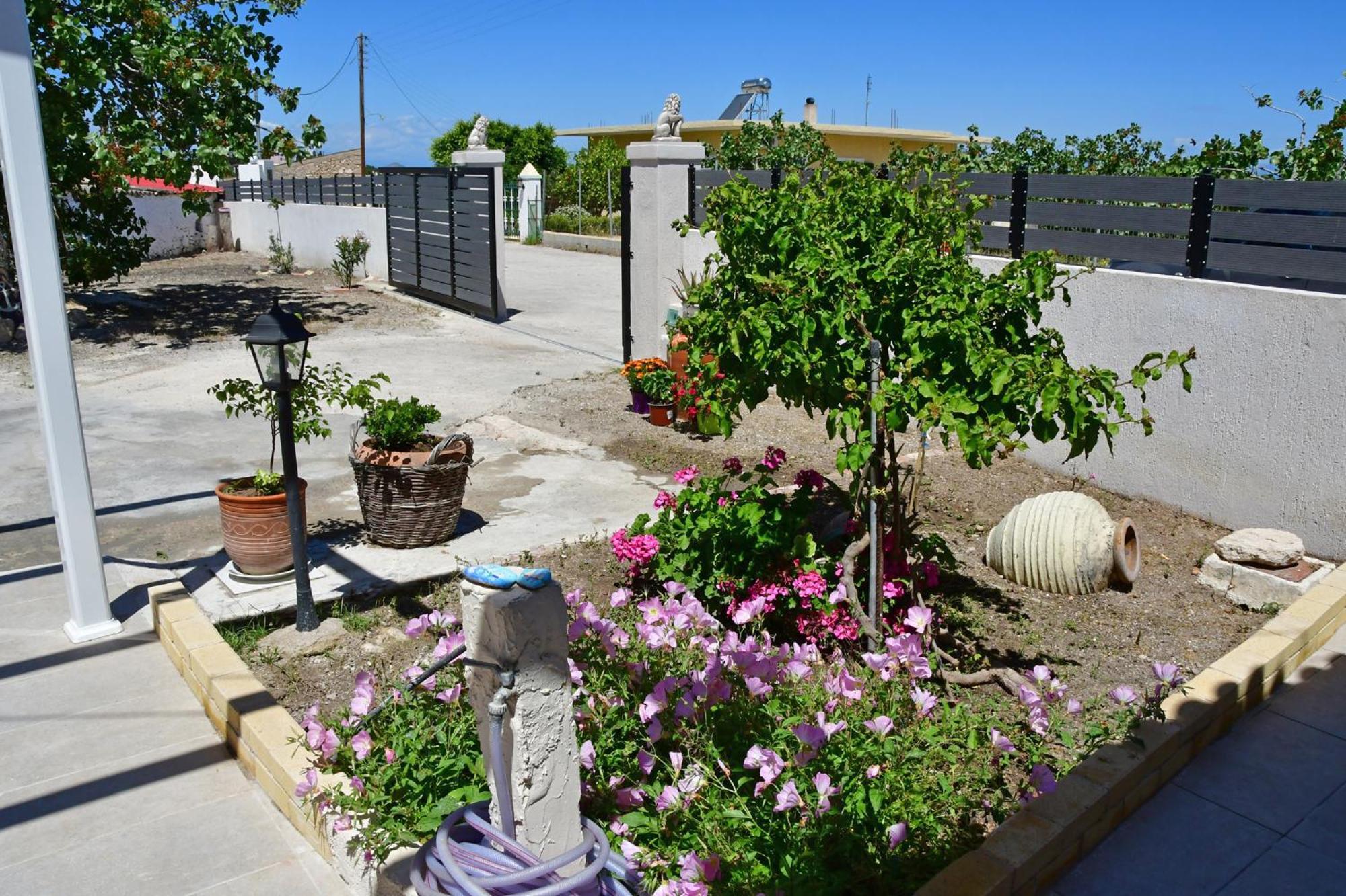 Da Vinci Kavouropetra Villa Aegina Eksteriør billede